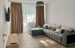 Apartament 2 camere decomandat, 55mp, Calea Bucuresti, zona Piata Mare