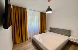 Apartament 2 camere decomandat, 55mp, Calea Bucuresti, zona Piata Mare
