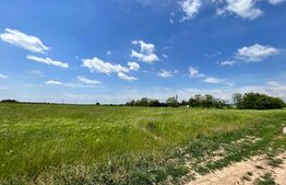 REDUCERE! Teren intravilan 4.444 mp, pretabil proiect imobiliar, zona Aeroport