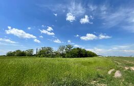 REDUCERE! Teren intravilan 4.444 mp, pretabil proiect imobiliar, zona Aeroport