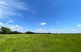 REDUCERE! Teren intravilan 4.444 mp, pretabil proiect imobiliar, zona Aeroport