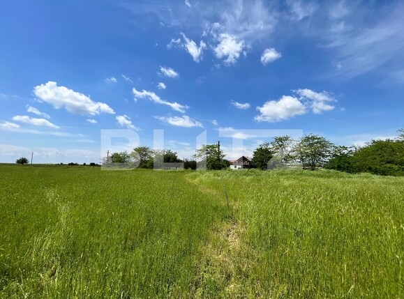 Teren de vânzare Carcea  - 118385TV | BLITZ Craiova | Poza6