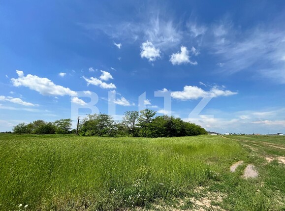 Teren de vânzare Carcea  - 118385TV | BLITZ Craiova | Poza5