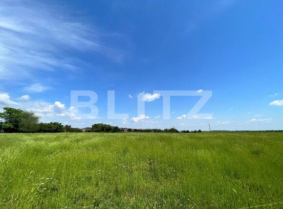 Teren de vânzare Carcea  - 118385TV | BLITZ Craiova | Poza3