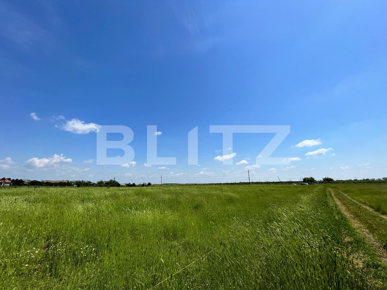 Teren de vânzare Carcea  - 118385TV | BLITZ Craiova | Poza2