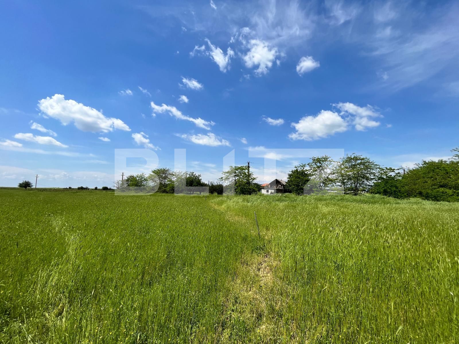 Teren de vânzare Carcea  - 118385TV | BLITZ Craiova | Poza6