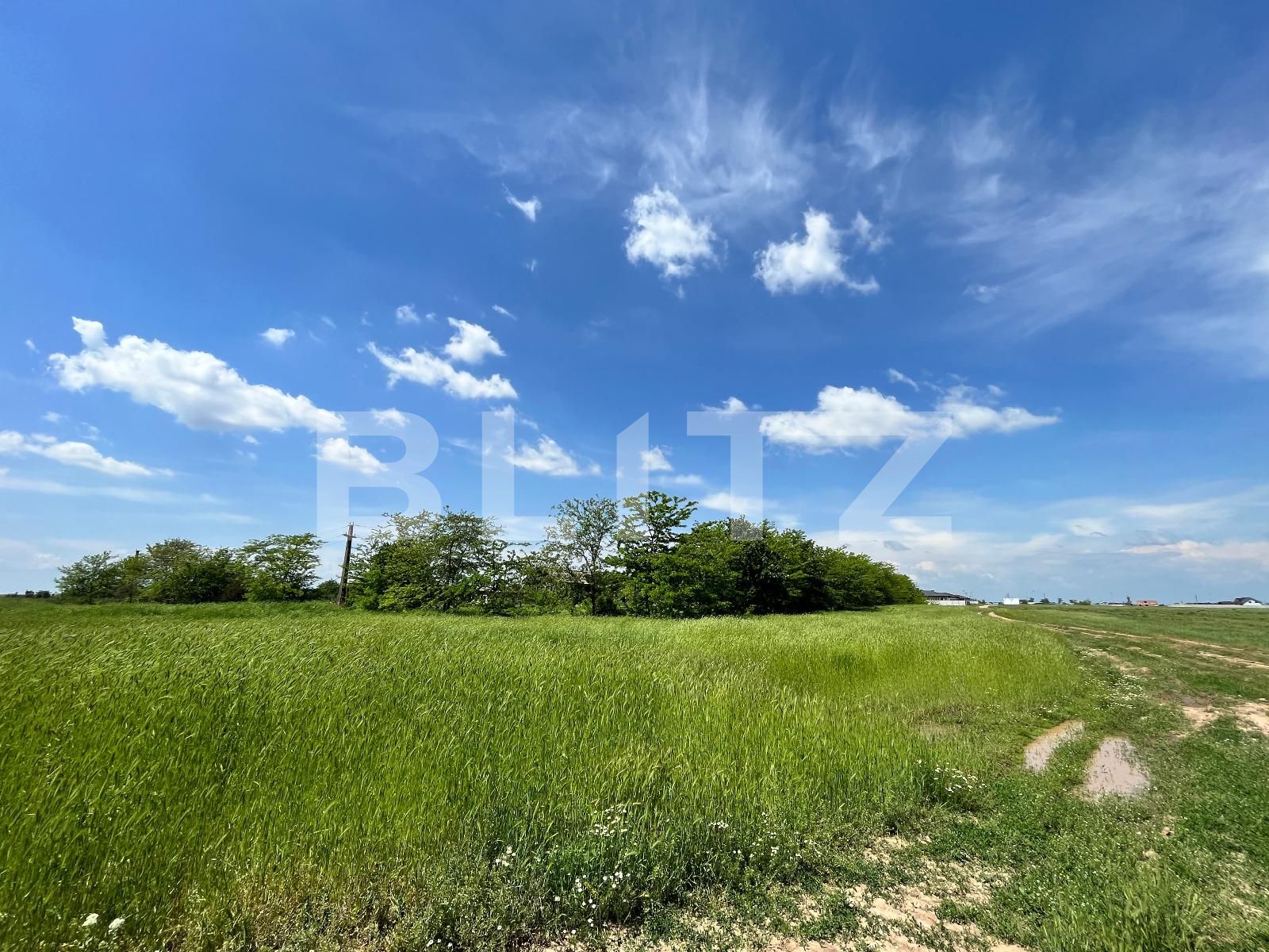 Teren de vânzare Carcea  - 118385TV | BLITZ Craiova | Poza5