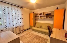 Apartament 2 camere, mobilat si utilat modern, Brazda 