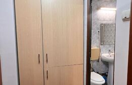 Apartament 2 camere, mobilat si utilat modern, Brazda 