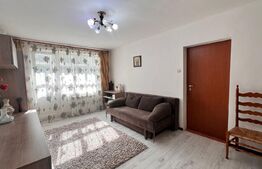 Apartament 2 camere, mobilat si utilat modern, Brazda 