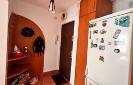 Apartament 2 camere, mobilat si utilat modern, Brazda 