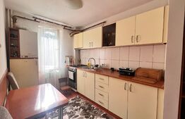 Apartament 2 camere, mobilat si utilat modern, Brazda 