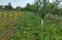 Teren 2400 mp ,deschidere 18 ml ,Pielesti