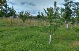 Teren 2400 mp ,deschidere 18 ml ,Pielesti