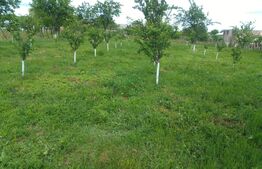 Teren 2400 mp ,deschidere 18 ml ,Pielesti