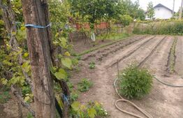 Teren 2400 mp ,deschidere 18 ml ,Pielesti