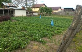 Teren 2400 mp ,deschidere 18 ml ,Pielesti