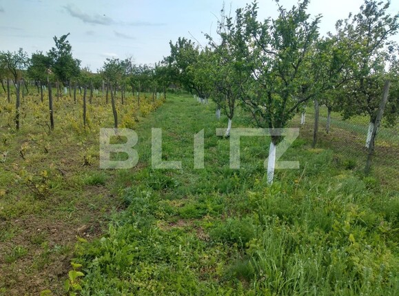 Teren de vânzare Pielești - 118468TV | BLITZ Craiova | Poza6