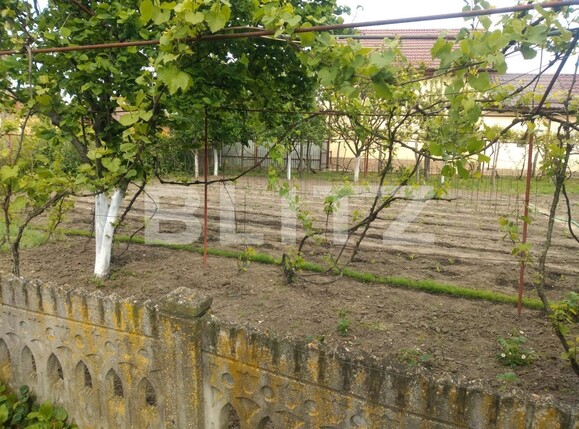 Teren de vânzare Pielești - 118468TV | BLITZ Craiova | Poza2