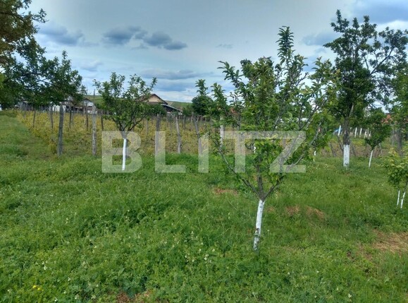 Teren de vânzare Pielești - 118468TV | BLITZ Craiova | Poza3