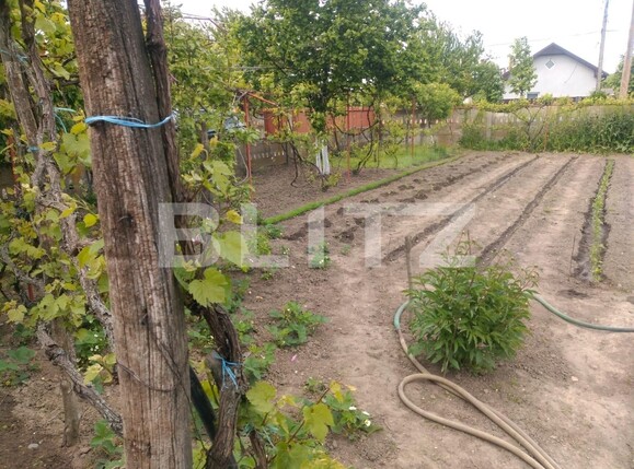 Teren de vânzare Pielești - 118468TV | BLITZ Craiova | Poza4