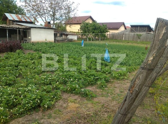 Teren de vânzare Pielești - 118468TV | BLITZ Craiova | Poza5