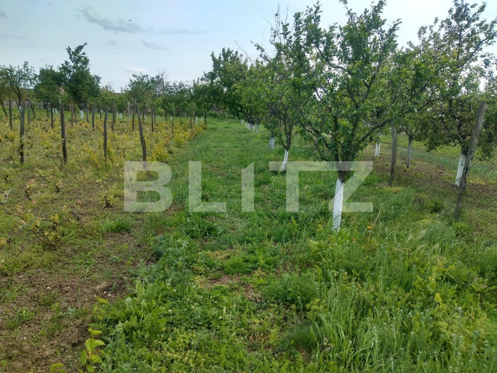 Teren de vânzare Pielești - 118468TV | BLITZ Craiova | Poza6