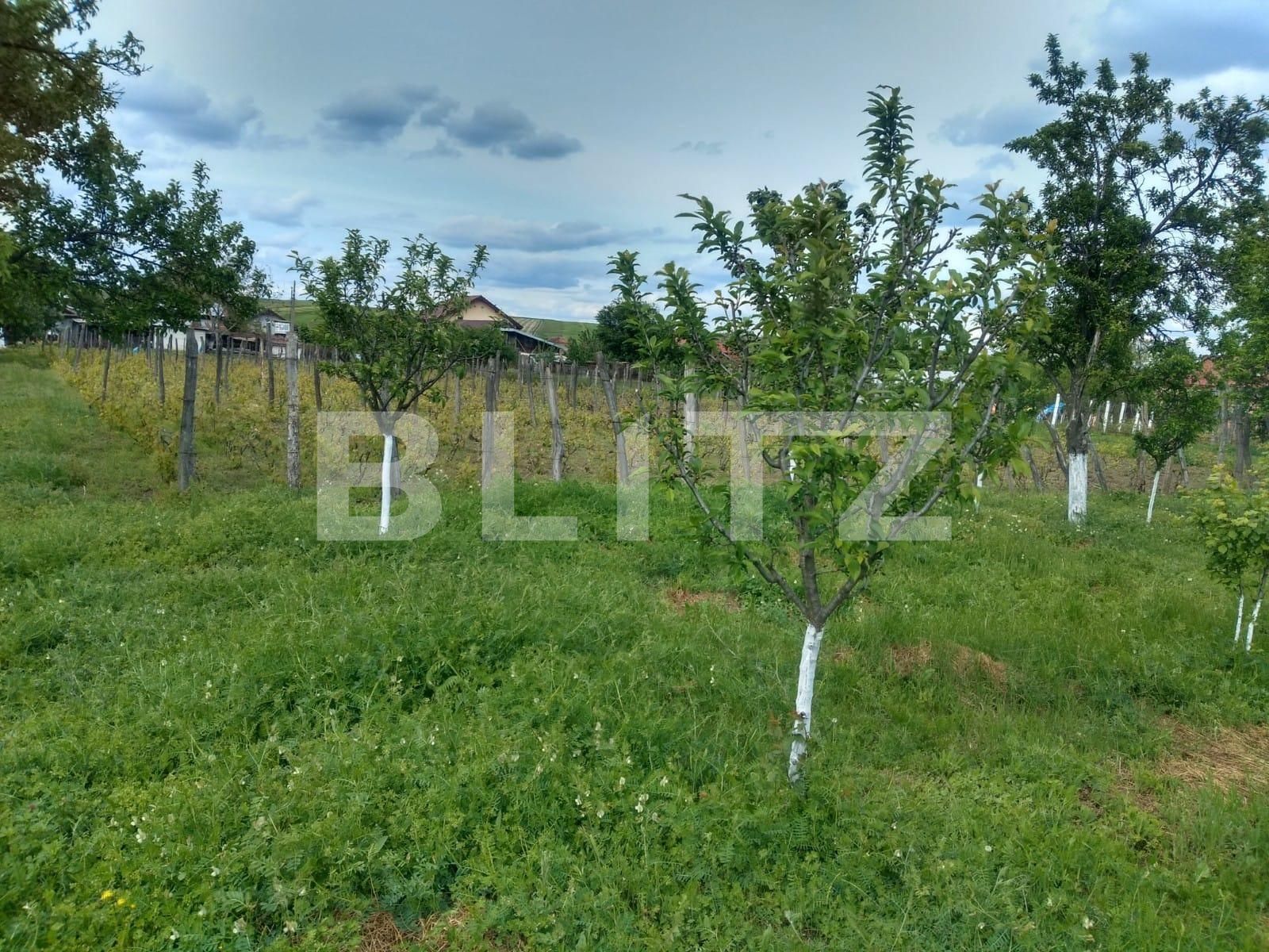 Teren de vânzare Pielești - 118468TV | BLITZ Craiova | Poza3