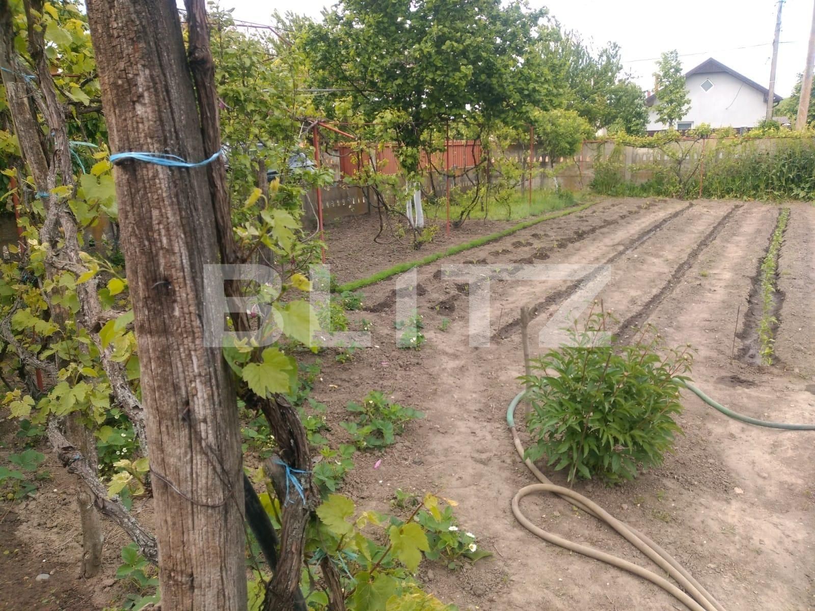 Teren de vânzare Pielești - 118468TV | BLITZ Craiova | Poza4