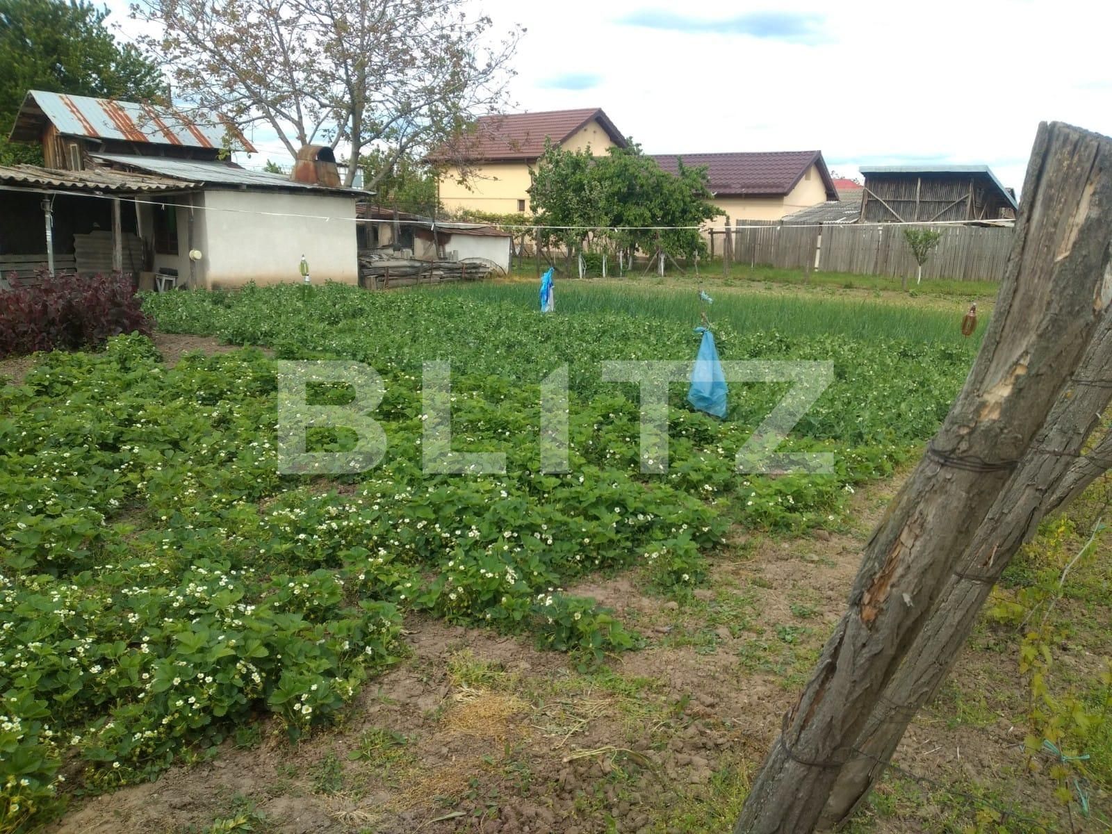 Teren de vânzare Pielești - 118468TV | BLITZ Craiova | Poza5