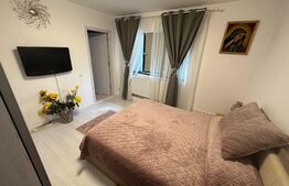 Apartament de 2 camere open-space Bloc Nou, zona Lidl Craiovita