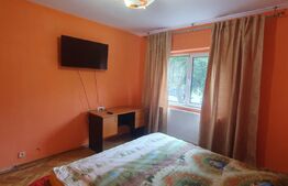 Apartament de 2 camere, centrala termica, zona Garii