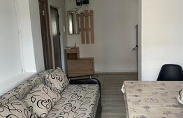 Apartament 2 camere, centrala termica, renovat, zona Parculet Rovine