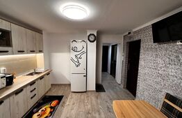 Apartament 2 camere decomandat, AC, zona Electroputere Mall