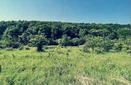 Teren 2500 mp ,parțial intravilan, Leamna de Jos!