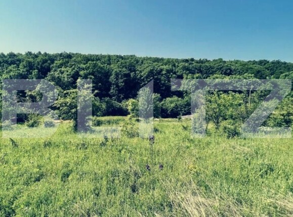 Teren de vânzare Leamna de Sus - 118648TV | BLITZ Craiova | Poza1