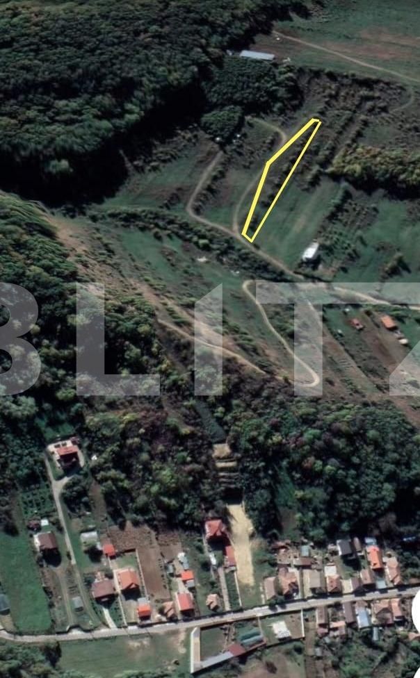 Teren de vânzare Leamna de Sus - 118648TV | BLITZ Craiova | Poza2