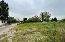 REDUCERE! Teren intravilan de închiriat 12.490 mp, toate utilitățile, drum asfaltat, Brestei