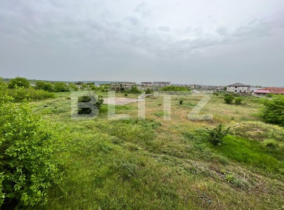 Spațiu industrial de închiriat Nisipului - 118785SII | BLITZ Craiova | Poza4