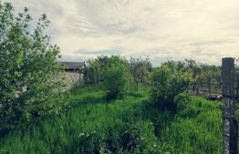 Casa 106 mp si 1624 mp teren, utlitati, la strada Brestei, zona Cernele