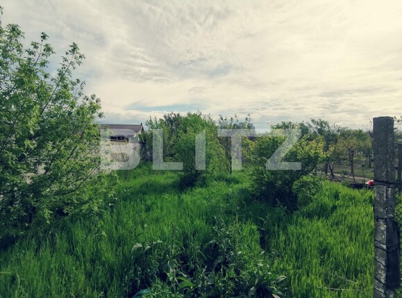 Casa de vânzare 5 camere Cernele - 118788CV | BLITZ Craiova | Poza11