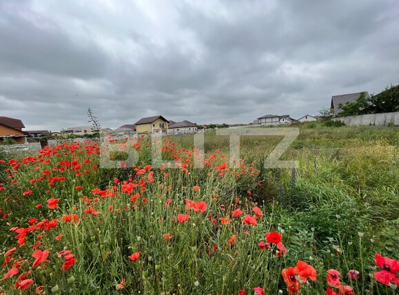 Teren de vânzare Malu Mare - 118792TV | BLITZ Craiova | Poza7