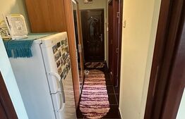 Garsoniera decomandata, 40mp, Rovine, zona Borcanul cu Miere