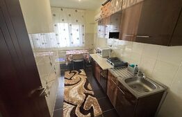 Garsoniera decomandata, 40mp, Rovine, zona Borcanul cu Miere