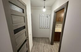 Apartament de 2 camere semidecomandat, parter, Brazda lui Novac zona Scoala Nr23