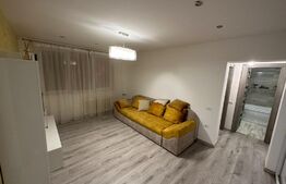 Apartament de 2 camere semidecomandat, parter, Brazda lui Novac zona Scoala Nr23