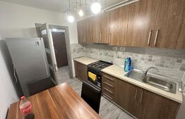 Apartament de 2 camere semidecomandat, parter, Brazda lui Novac zona Scoala Nr23