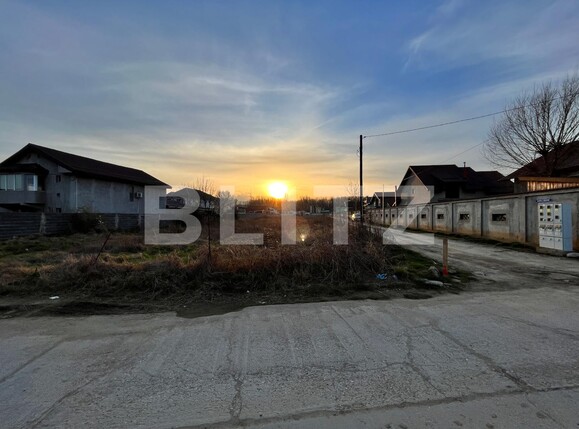 Teren de vânzare Branişte (Podari) - 119098TV | BLITZ Craiova | Poza3