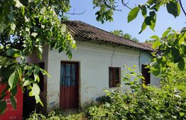Casă bătrânească cu teren 1200  mp , Mihăița 