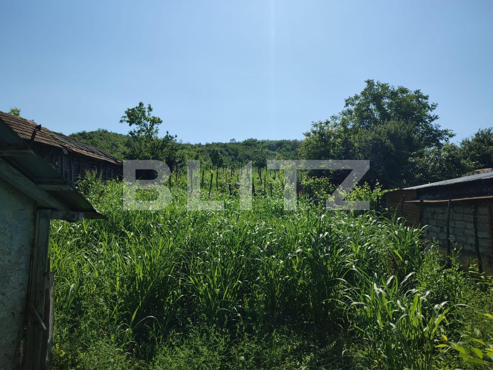 Casa de vânzare 2 camere Exterior Vest - 119165CV | BLITZ Craiova | Poza3